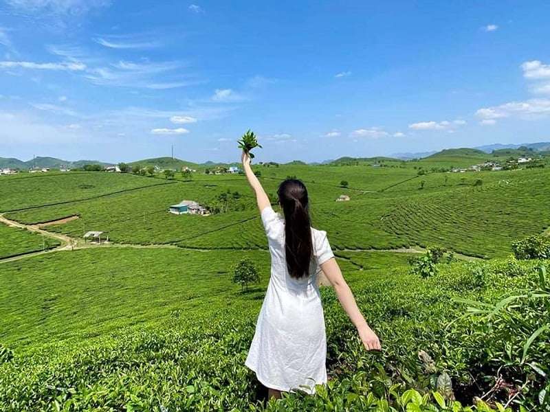 Miền Bắc Việt Nam