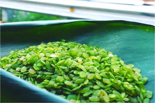 Miền Bắc Việt Nam