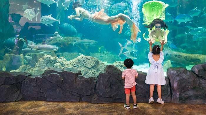 Miền Bắc Việt Nam