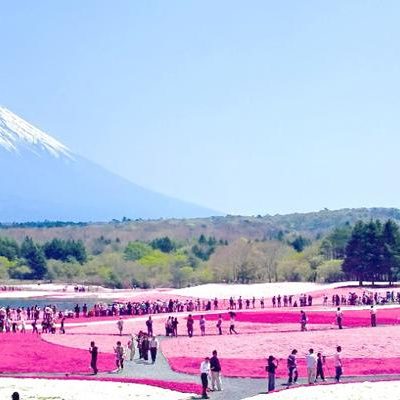 Tour Nhật bản mùa lá đỏ 2017 bay Vietnam Airlines 6 ngày