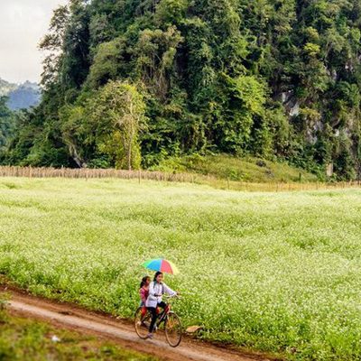 Tour Mộc châu 2 ngày nghỉ lễ - Khách sạn Mường Thanh