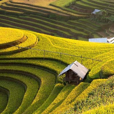 Tour Mù căng chải – Suối giàng – Tú lệ – Mùa lúa chín